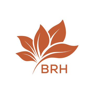 BRH Modern Abstract Botanical Logo with Leaf Motif BRH Later Logo, and Letter mark.
