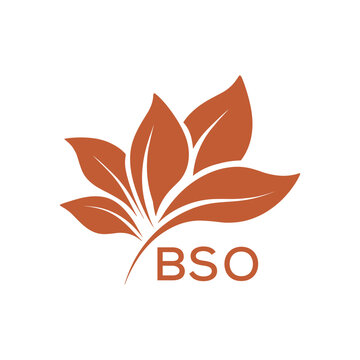 BSO Modern Abstract Botanical Logo with Leaf Motif BSO Later Logo, and Letter mark.
