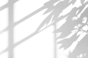 shadow overlay effects of realistic window and tree branch shadow with light blur on transparent background,Summer sunlight and shadow overlay effect