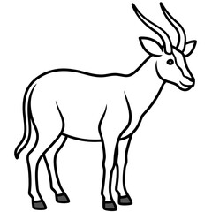 Minimal Saola Line Design