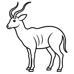 Minimal Saola Line Design