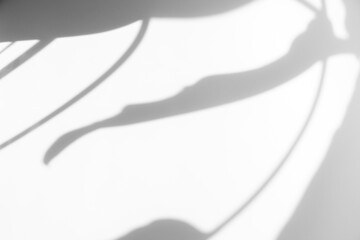 Fototapeta premium shadow overlay effects of realistic abstract natural tree leaves and floral shadow on white wall background,Summer sunlight and shadow overlay effect,shadow for photo interior backdrop studio mockup