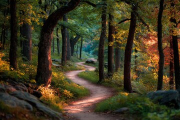 Obraz premium A long winding forest path flanked by color-shifting trees, symbolizing journey, change, and discovery.