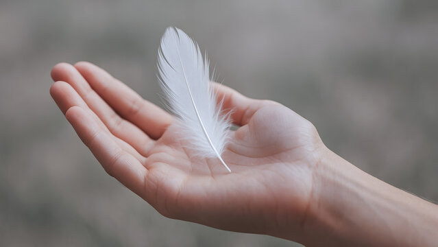Delicate white feather rests gently on open hand symbolizing emotional intelligence and support in calm and peaceful moment