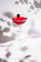 Refreshing cocktail preparation with vibrant colors and elegant presentation