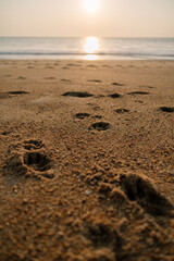 footprints on the beach