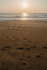 footprints on the beach
