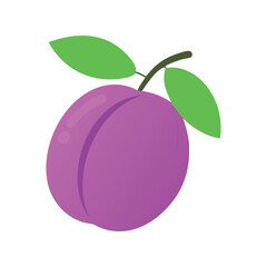Ripe Purple Plum Fruit with Green Leaf Flat Vector Icon