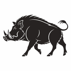 black pig on white background