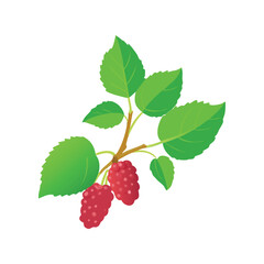 Obraz premium Delicious Fresh Raspberry Berry Fruit Flat Vector Icon with Leaf