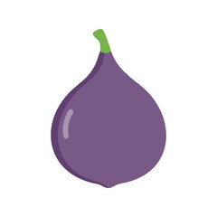 Ripe Purple Fig Fruit with Seeds Vector Illustration