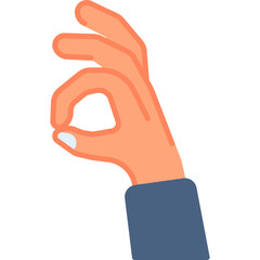 Ok hand gesture vector icon. Hand gesture icon flat style. perfect use for logo, presentation, website, and more. modern icon design color style