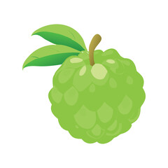 Green Custard Apple Tropical Fruit with Leaves Vector Illustration