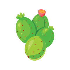 Green Prickly Pear Cactus Fruit with Red Flower Vector