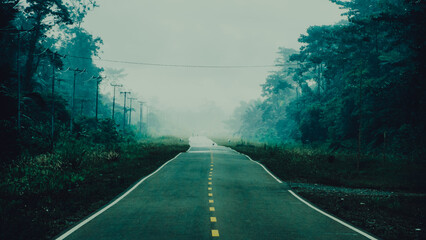 Misty Road Cutting Through Dense Tropical Jungle
