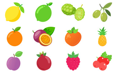 Tropical and garden fruit collection – flat vector icons for fresh food packaging, menus, and healthy lifestyle graphics