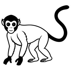 Minimal Spider Monkey Vector