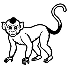 Minimal Spider Monkey Vector