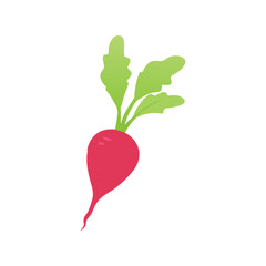Radish flat minimal vector illustration, simple red root vegetable icon, healthy food design element

