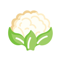 Cauliflower flat minimal vector illustration, simple white vegetable icon, healthy food, modern design

