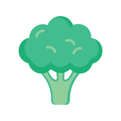 Broccoli flat minimal vector illustration, simple green vegetable icon, healthy food, modern design

