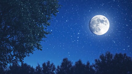 Night sky over a dark forest. Large moon, starry