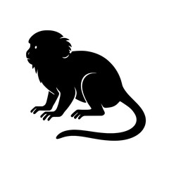 Obraz premium Silhouette of a Pygmy Marmoset Highlighting Its Delicate Features and Curved Tail