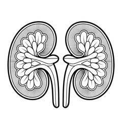 ‎A line art kidnegs illustration of a coloring page