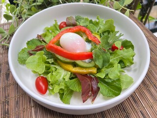 Crystal Ice Plant with bell peppers and soft boiled egg salad