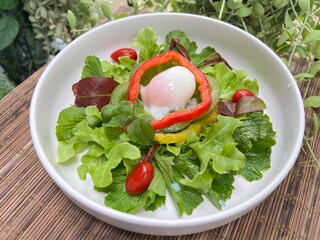 Crystal Ice Plant with bell peppers and soft boiled egg salad
