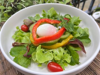 Crystal Ice Plant with bell peppers and soft boiled egg salad