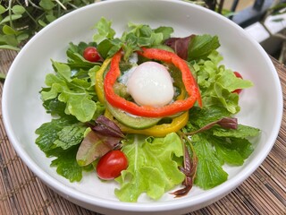 Crystal Ice Plant with bell peppers and soft boiled egg salad