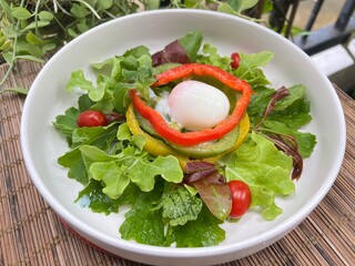 Crystal Ice Plant with bell peppers and soft boiled egg salad