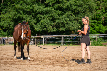 Female trainer working with horse on lunge line in fenced paddock. Captures bond, communication,...