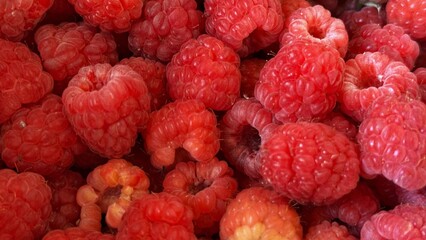 Bright red raspberries gathered in a plastic bucket, viewed from above, highlighting their juicy and ripe texture.