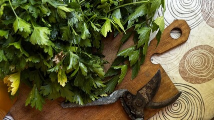 Chopped parsley with a traditional herb cutter placed on a wooden board, used in rustic kitchen...