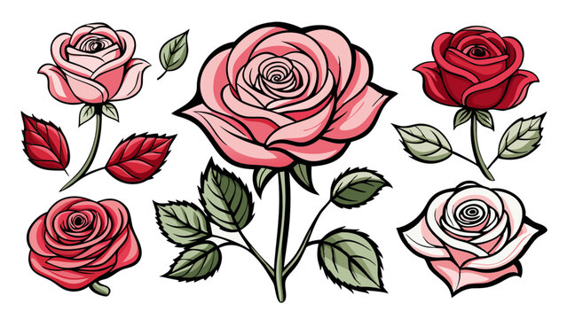 Elegant Rose Set Buds, Blooms & Leaves - Vector Illustration