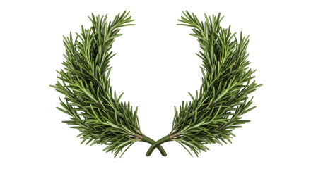 Isolated Rosemary Wreath © Julia