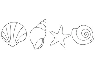 Simple Line Art of Seashells and Starfish for Coloring or Design