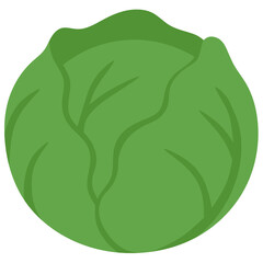 Obraz premium vector illustration of a green cabbage