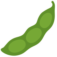 vector illustration of a green bean