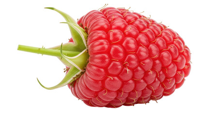 Isolated Fresh Raspberry