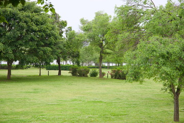 Open Grass Lawn in Namyangju Water Garden