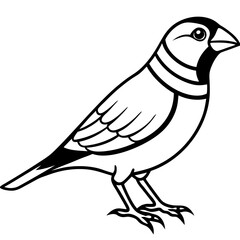 Monoline Zebra Finch Bird Design