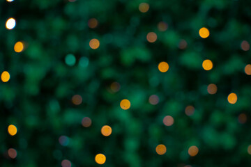 Soft Focus Christmas Tree Lights Background
