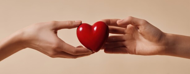The heart being shared between two hands as a symbol of love and connection.