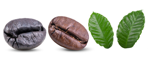  roasted coffee beans with leaves  isolated on transparent png (Image from camera)