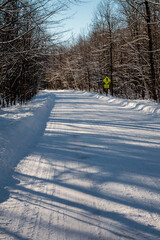 Rural winter country road through woods in late afternoon at Harrington Beach State Park, Wisconsin