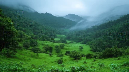 Fototapete Attractive landscape nature in best wild life of rainy season High quality photo © Nayyab