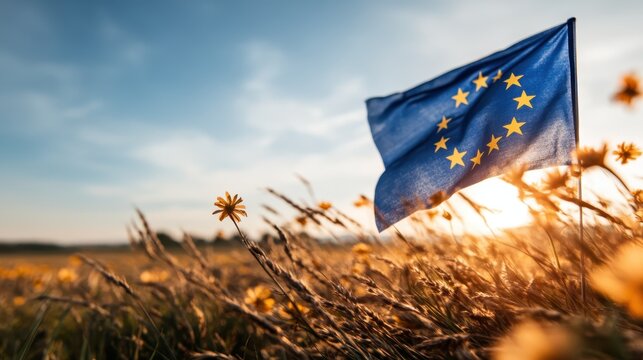 The European Union flag flutters gracefully in a golden field during sunset, symbolizing unity and hope while surrounded by the beauty of nature and the changing sky.